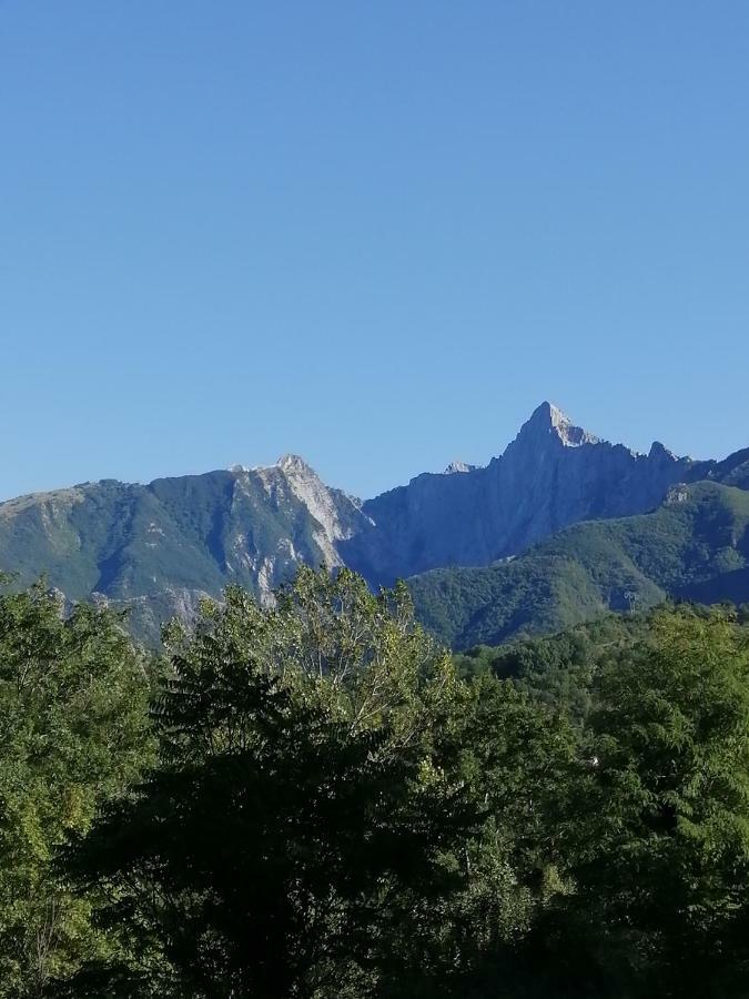 Le Case Nel Borgo Fivizzano Exteriör bild
